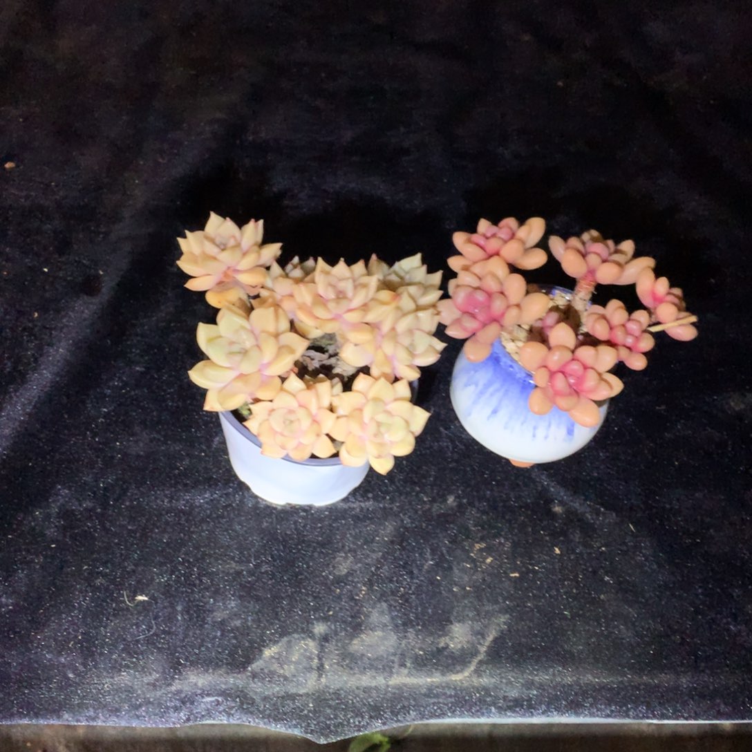 小***满完全开放这么早起来的呀还是那么不习惯的