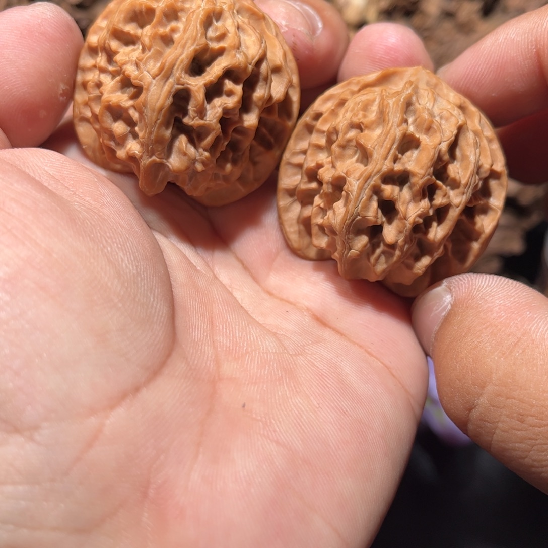 文玩核桃吊坠苹果园 40+