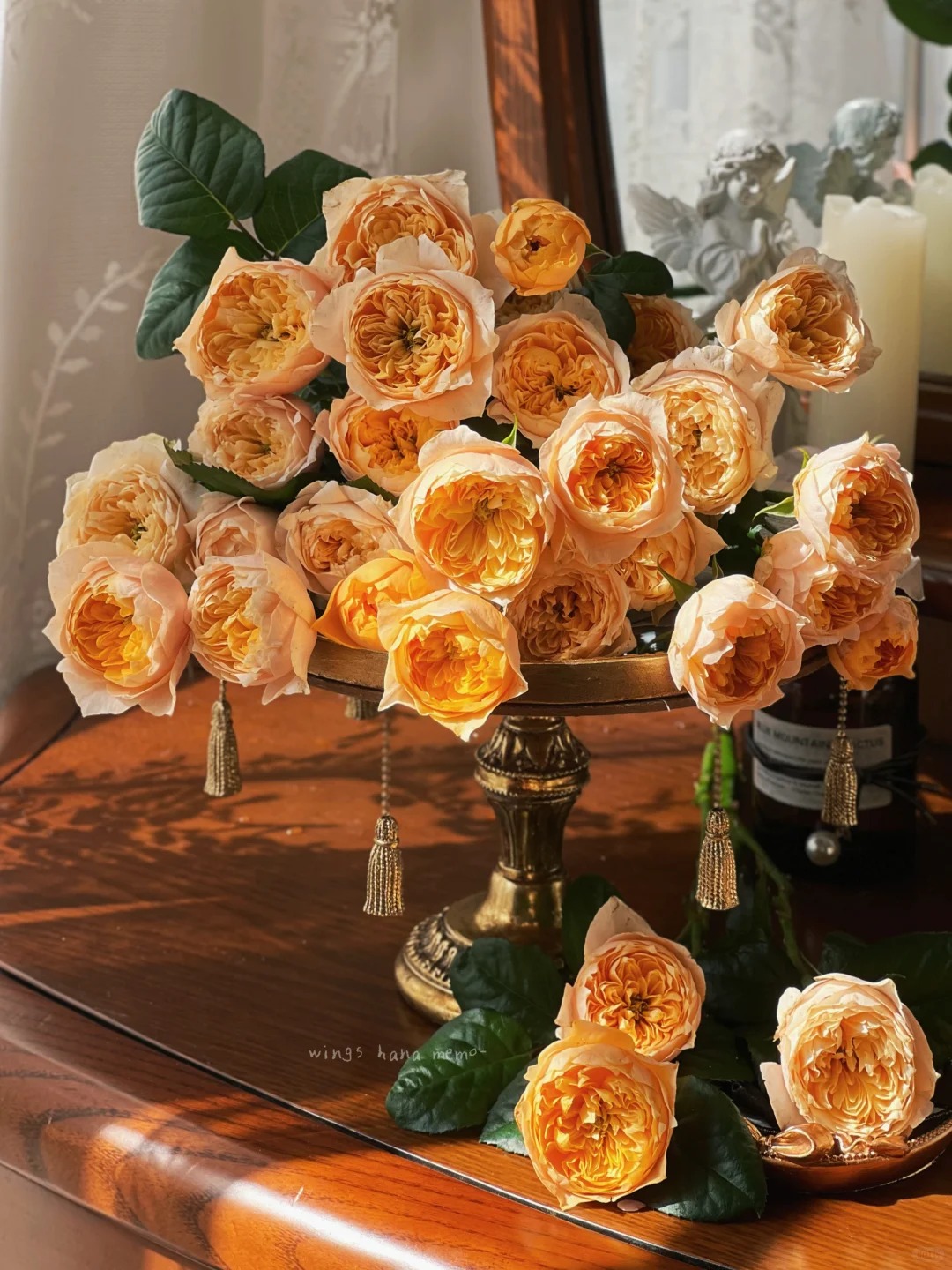 【蝴蝶】多头玫瑰 真花鲜切花 一单包邮