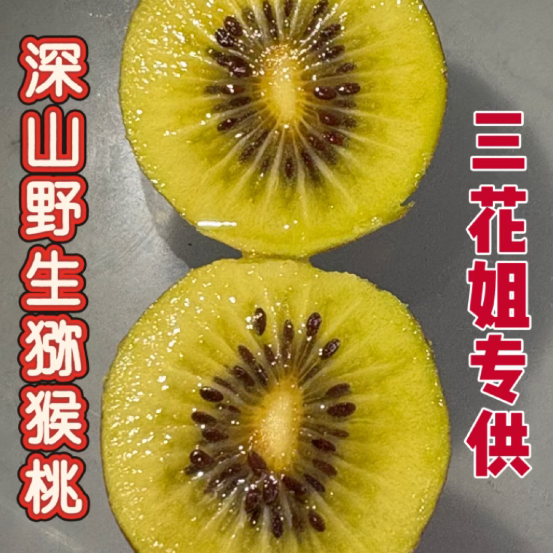 湖南猕猴桃正宗高山野生猕猴桃孕妇当季水果新鲜奇异果可泡酒