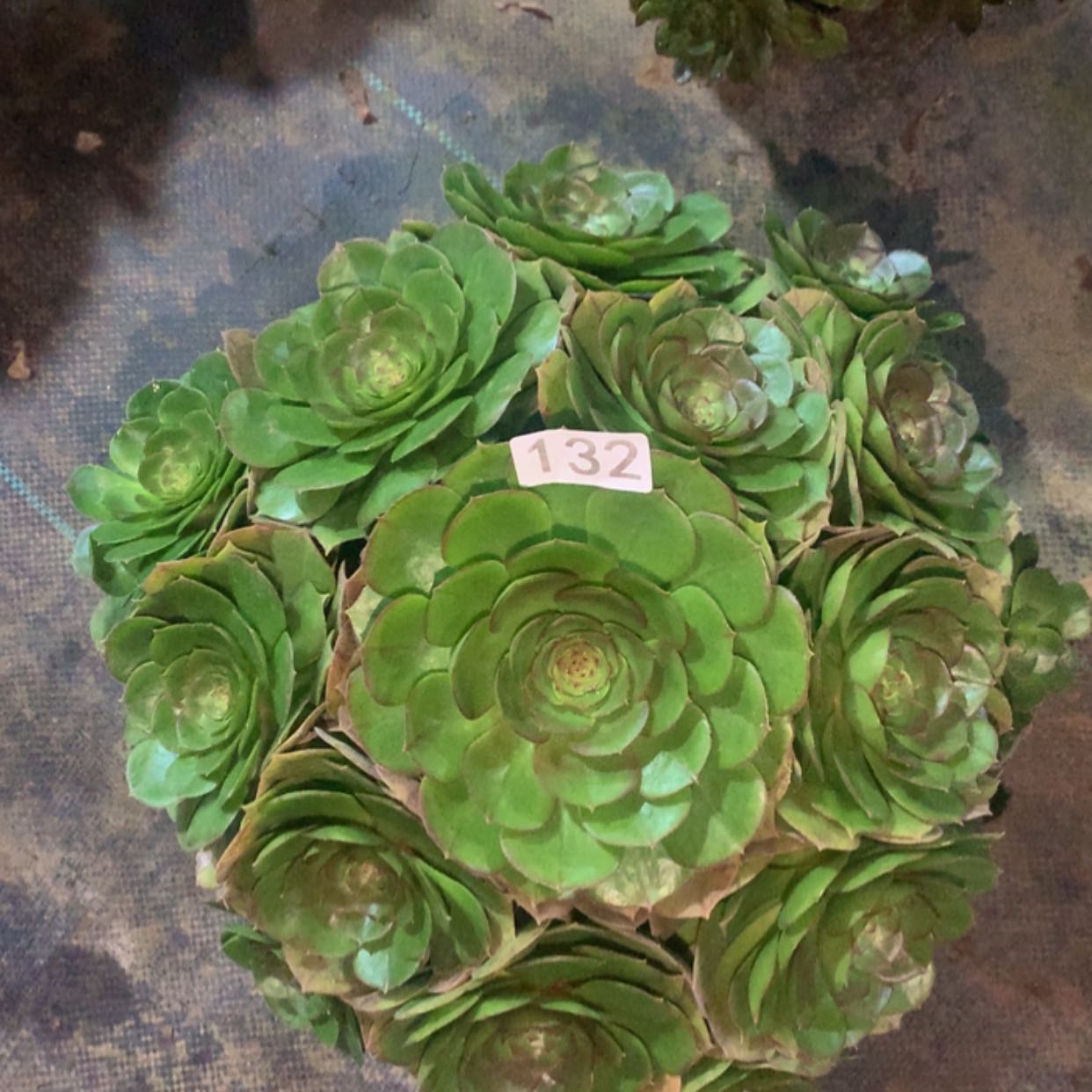 【闪购商品】132万圣节