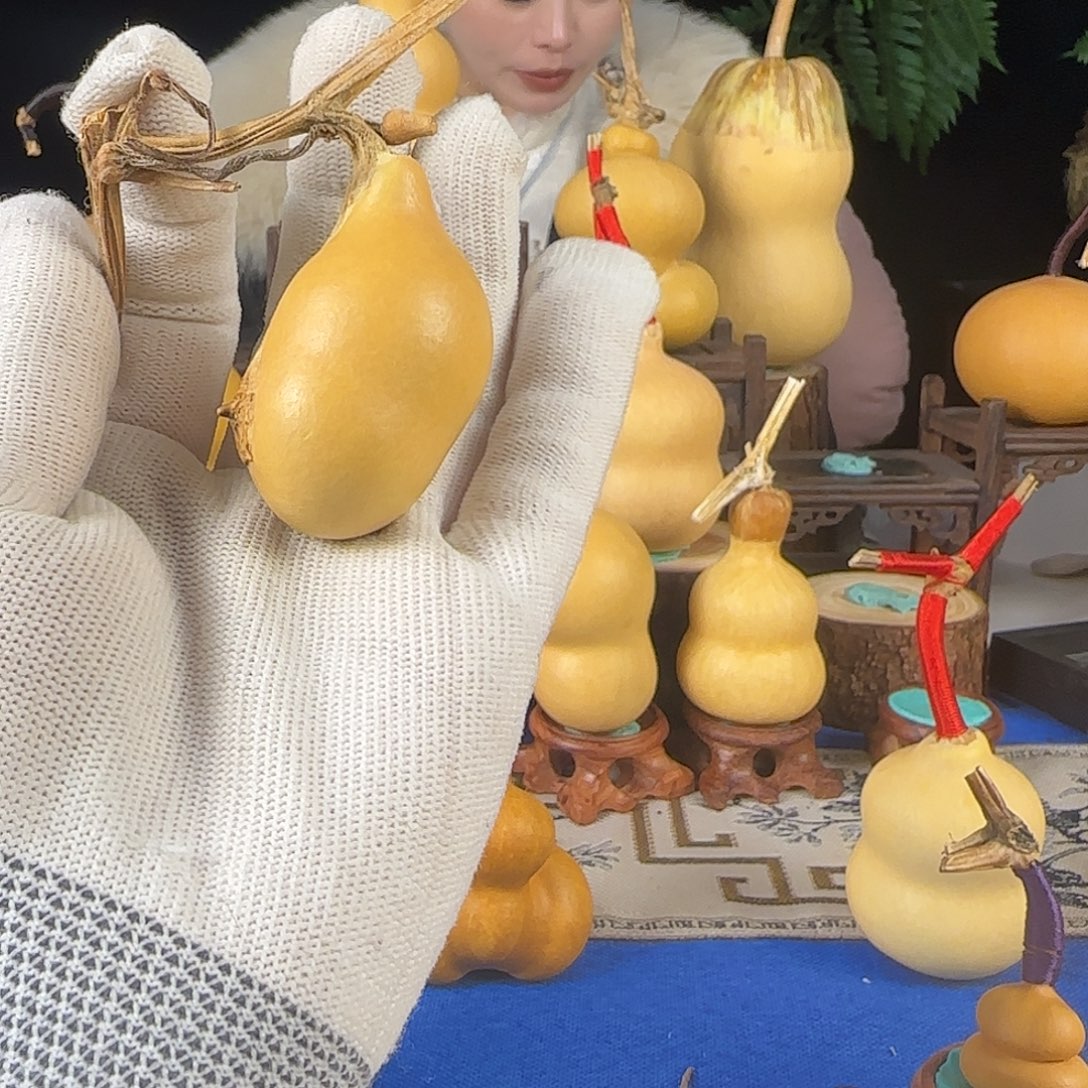 春***诺大叶紫檀（黑酸枝木类）