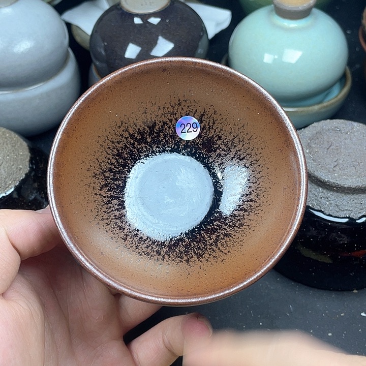 茶宠229&&$$$$$$$$$$