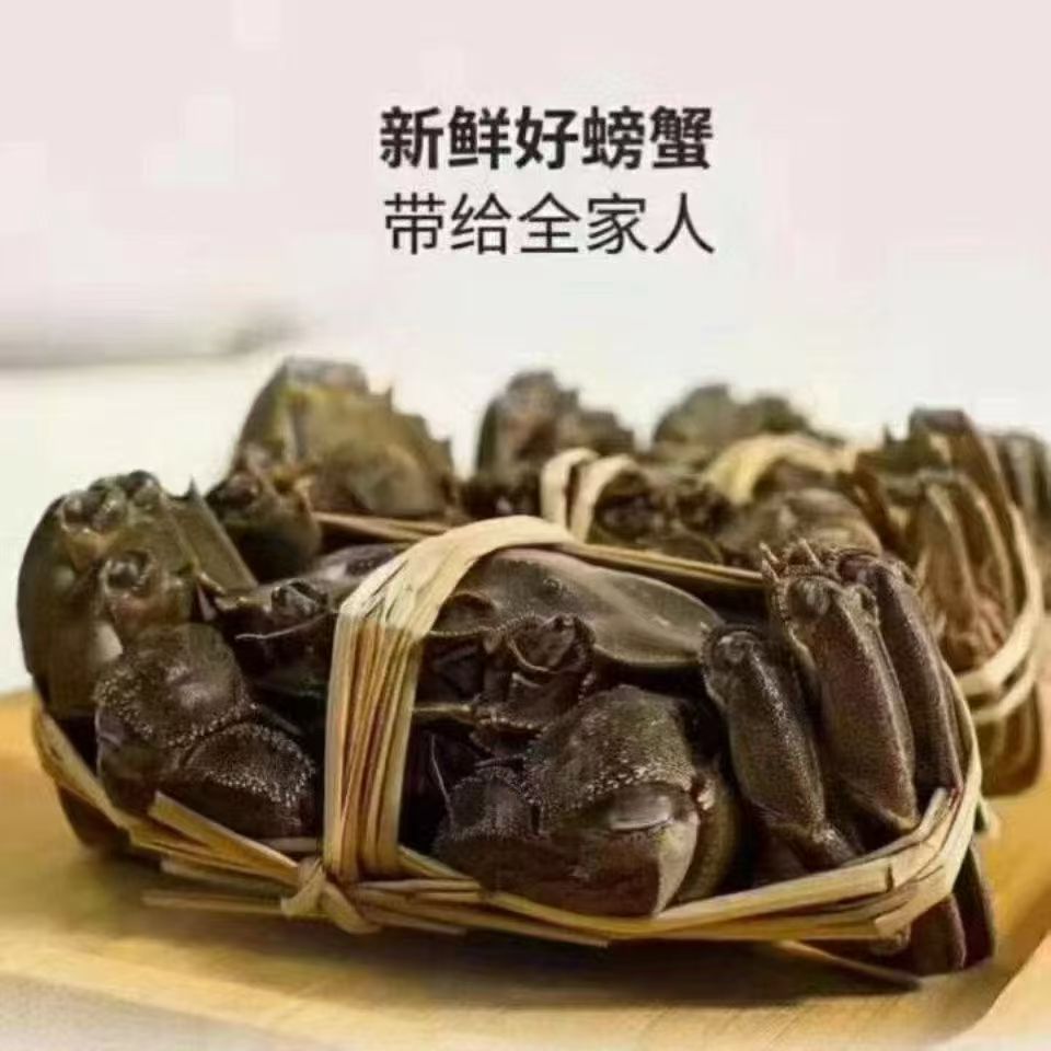 【活蟹】全公蟹1.5-1.7两/只江苏河蟹8/6/5/4只