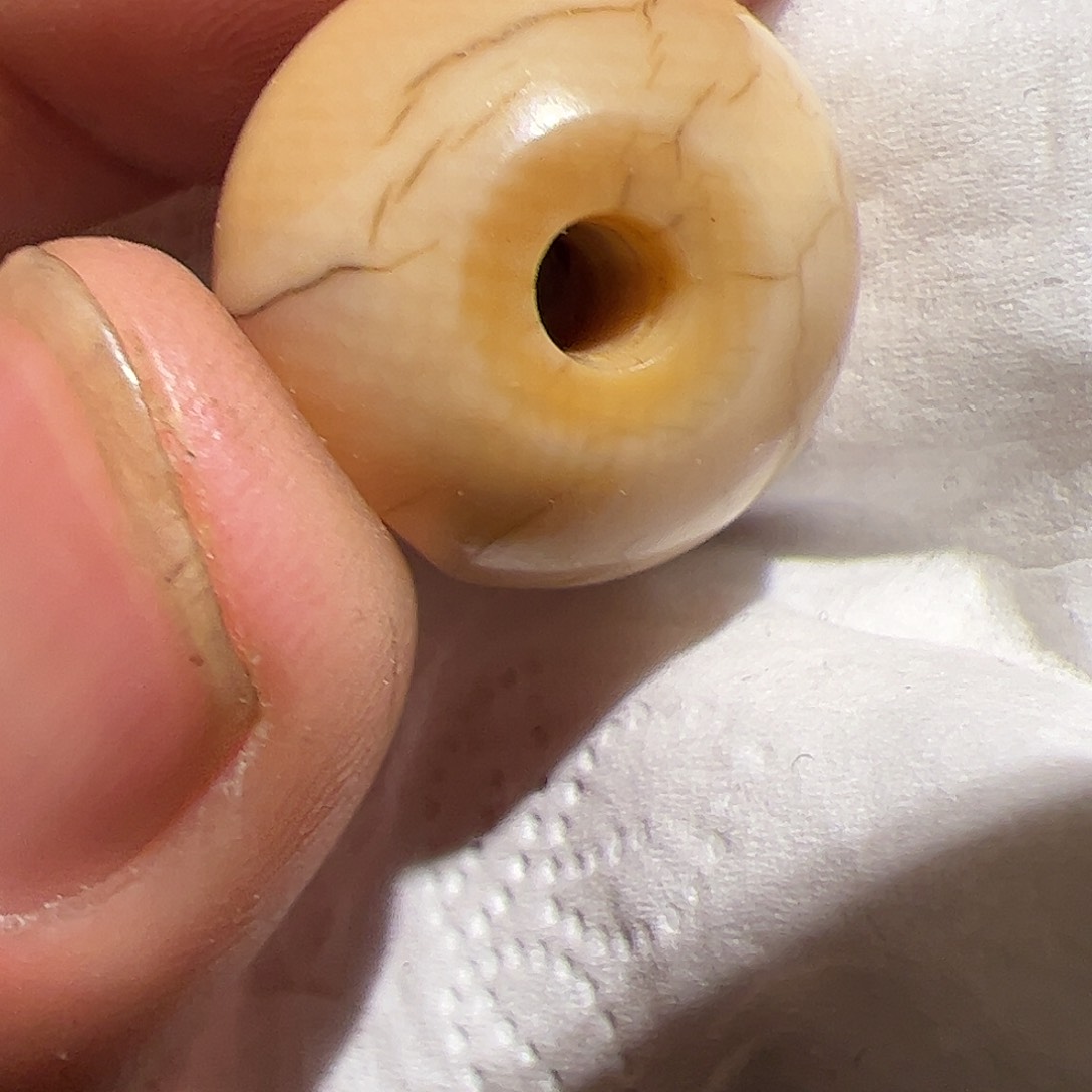 香榧木?**白在这里的