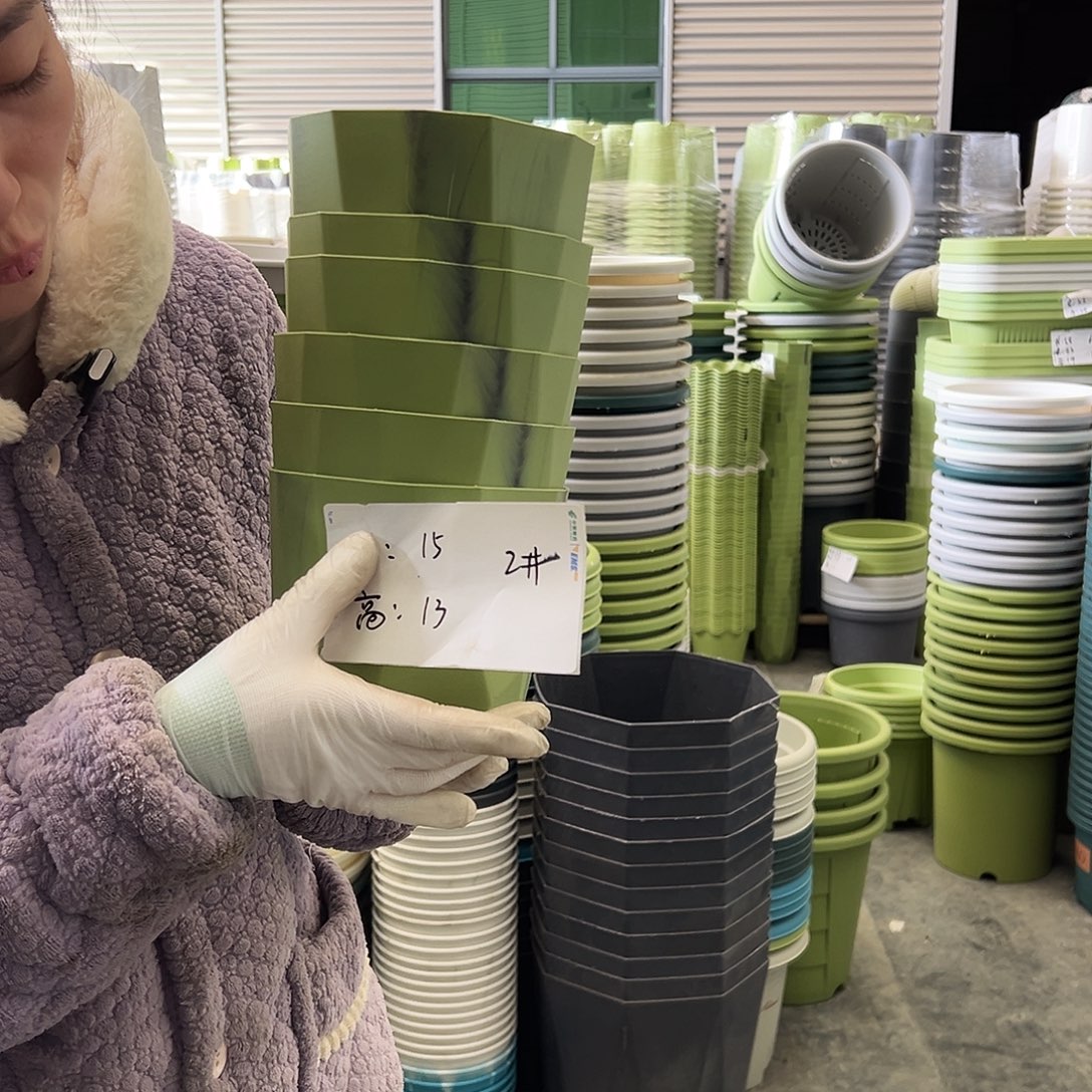 瑕疵雅典盆2#果绿12个无托