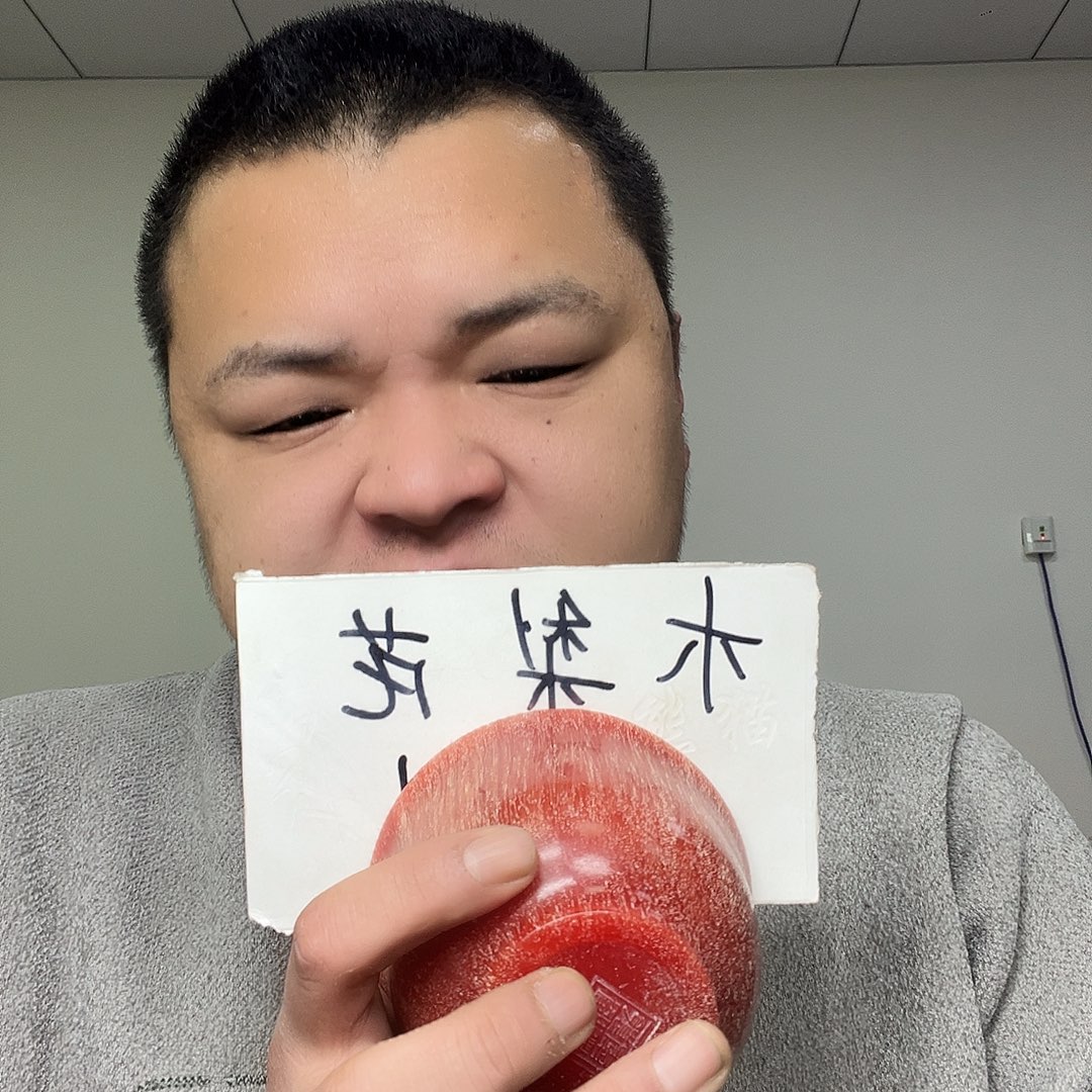 缅甸花梨（花梨木类）X997