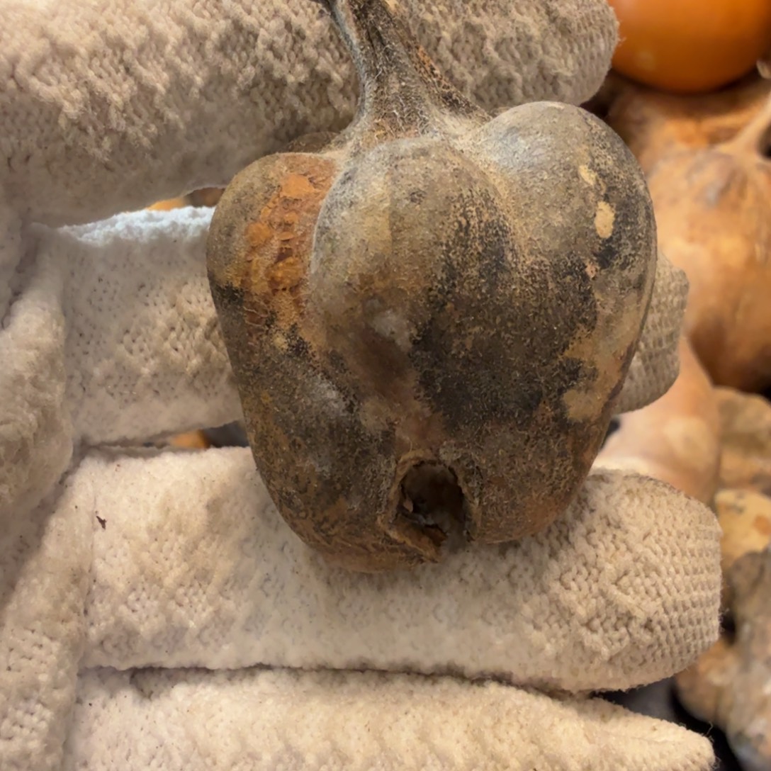 咕***猫6777777777788888899