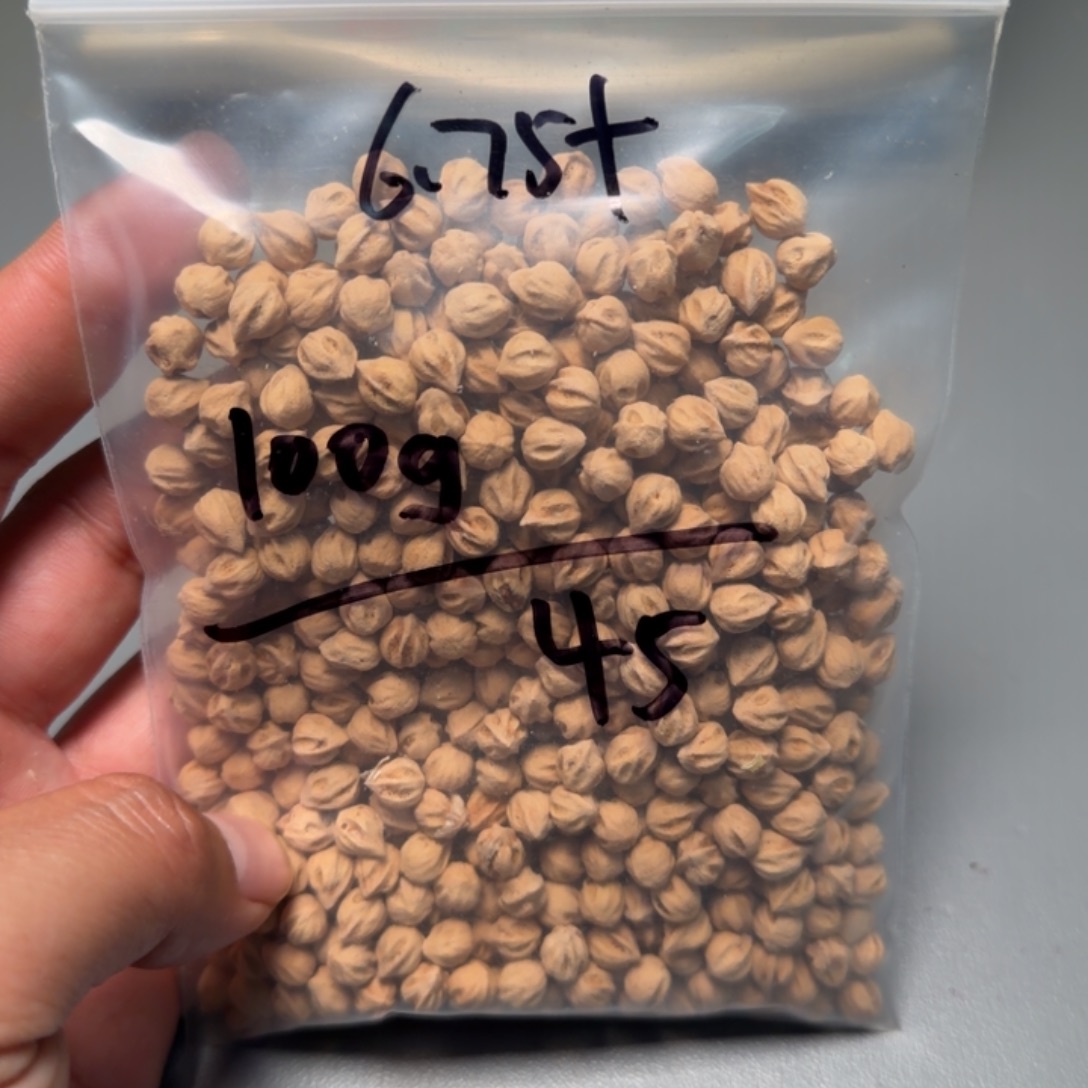 胡***涂吊坠柏香籽/百香籽