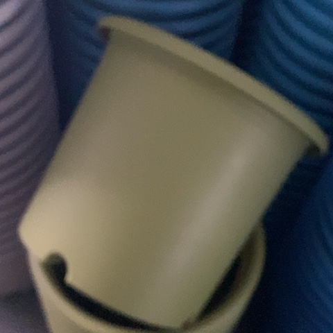 树脂四季6号微瑕果绿无托7个