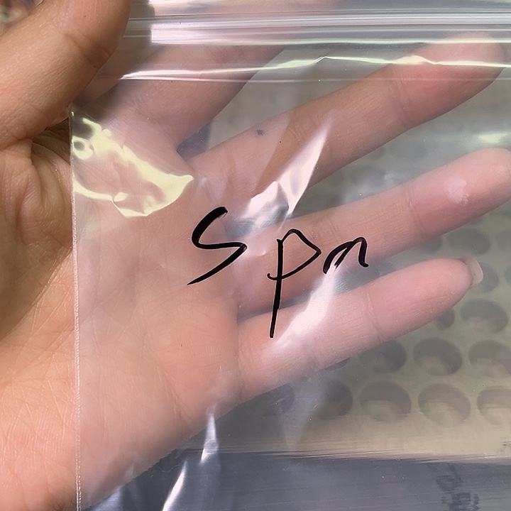 S***a猴头核桃手串聚宝盆二级籽100颗