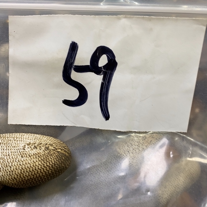 叶***3娜娜文玩杂项专属链接