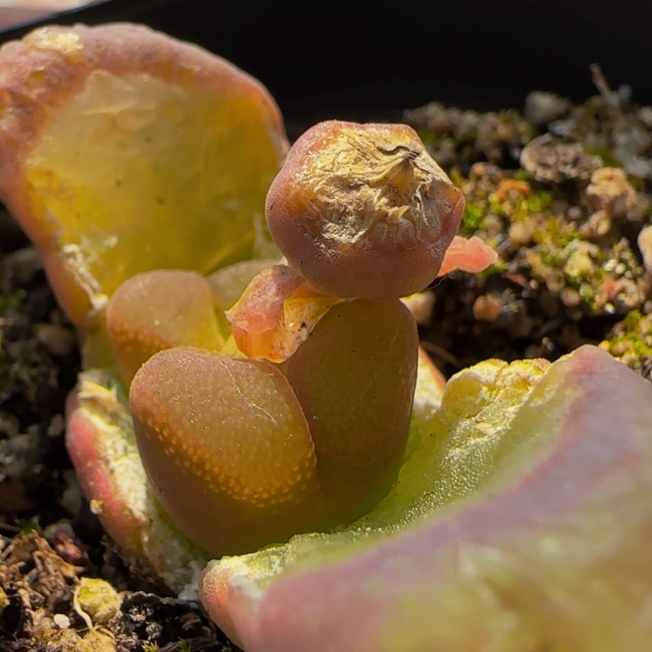 【闪购商品】8360    