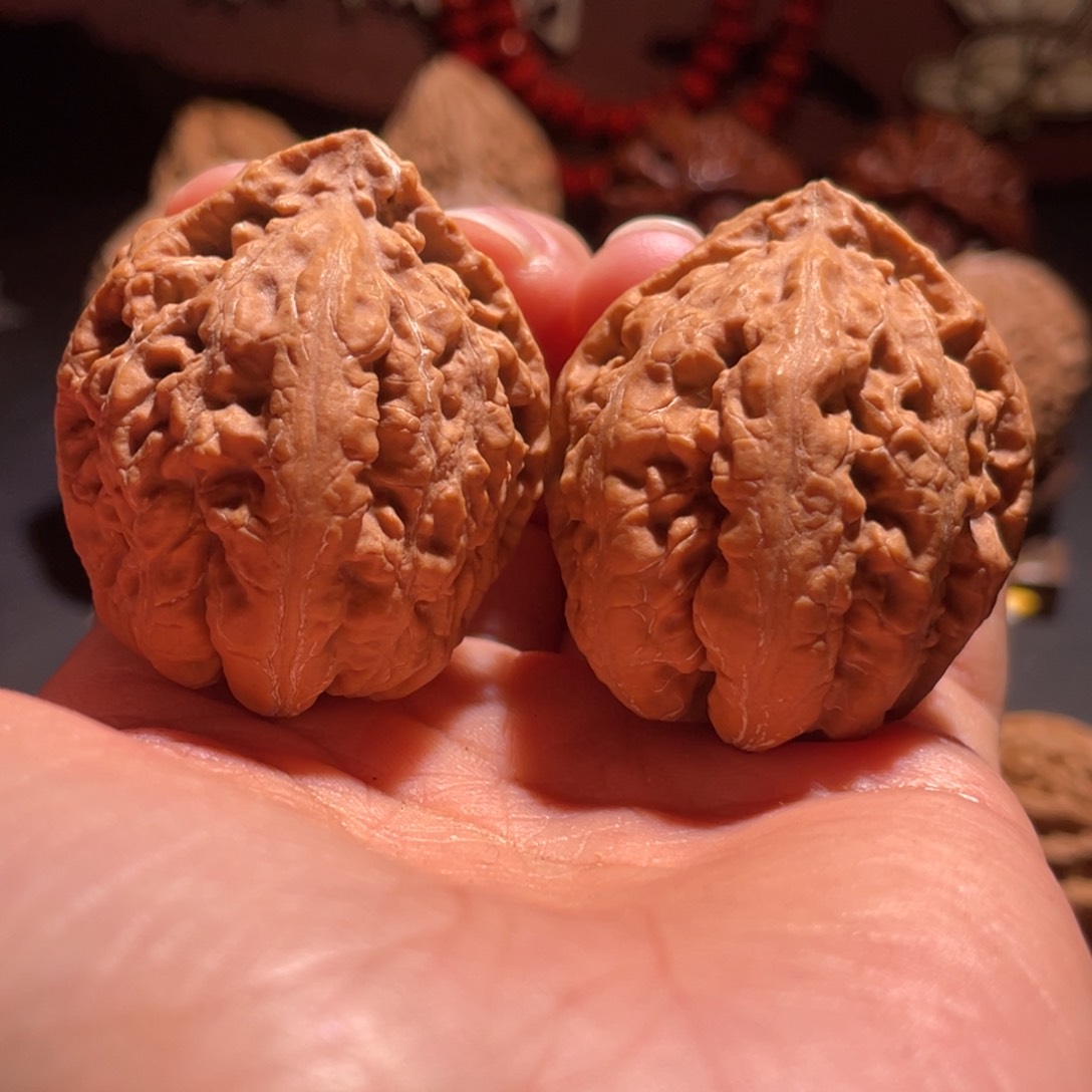 文玩核桃把件木*豆粒霸王丸100