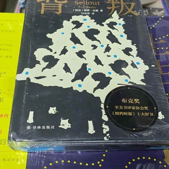 背叛精装库存书库存书