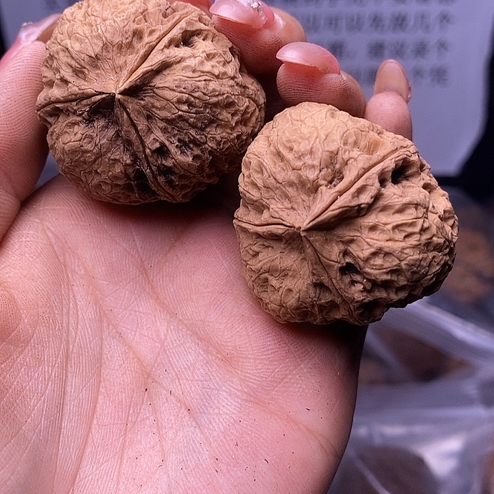 核桃云南野生铁核桃215号40mm