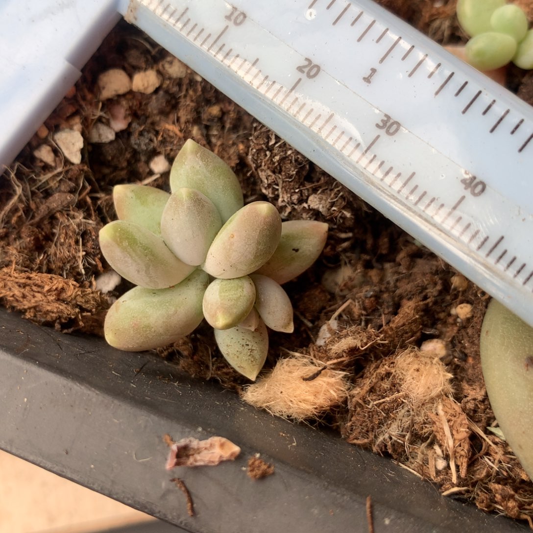 天空美人韩国天空