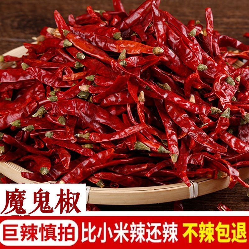 [新货]特辣S17魔鬼辣干辣椒超辣特辣树椒辛辣调料巨辣500g干红椒