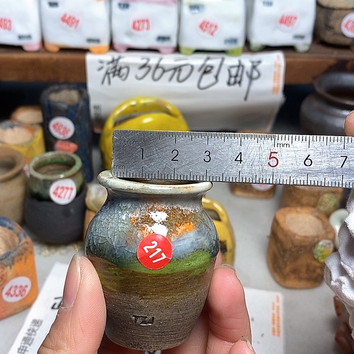 红陶拍5送一个小