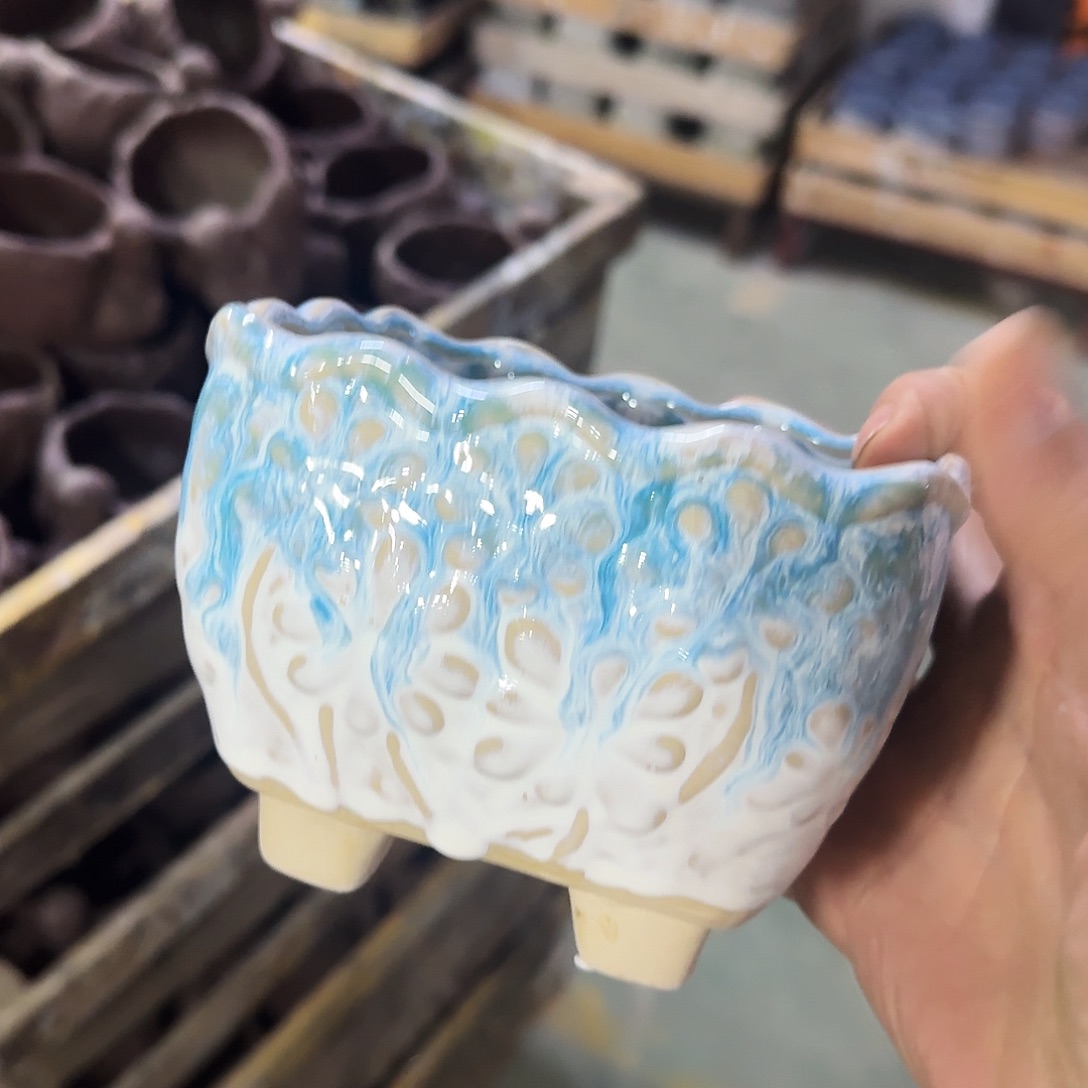 福利局绿植多肉盆［凑9元包邮24小时发］119