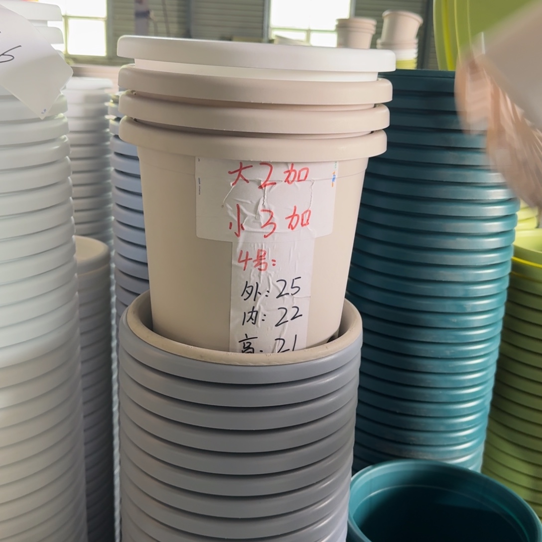 四季4号无拖果绿8个