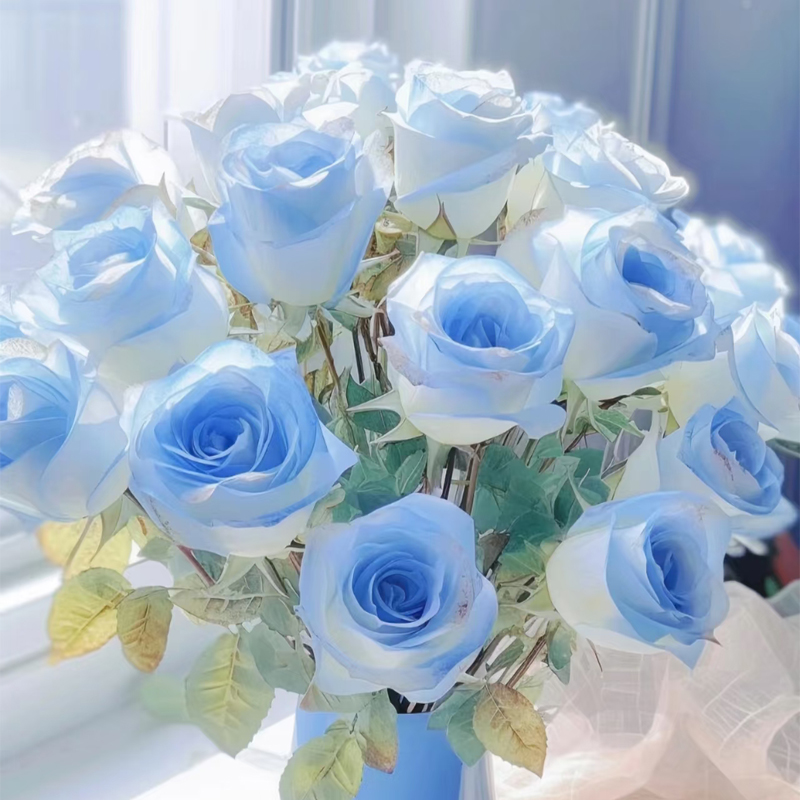 【碎冰蓝单头玫瑰】新鲜鲜花花束云南昆明基地直发速递同城家用水养