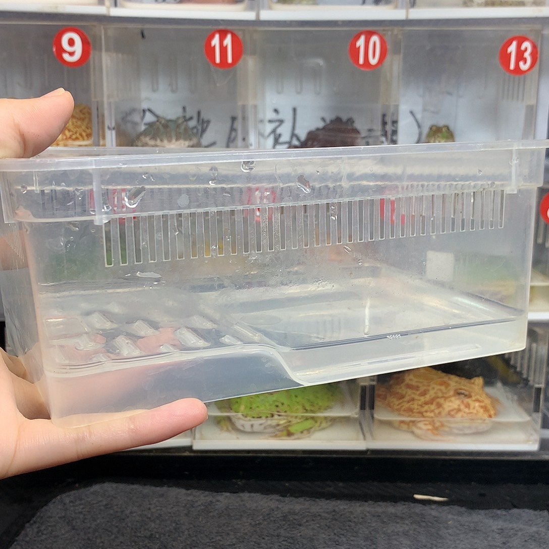 A***x角蛙盒子盒子盒子盒子