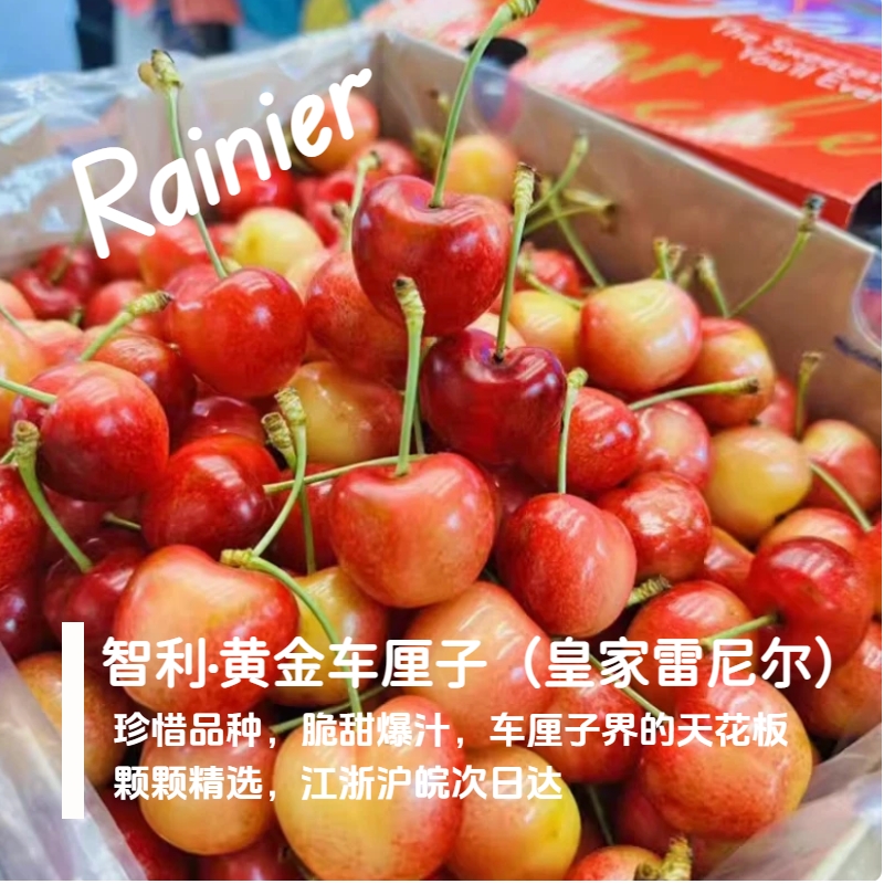 【空运皇家RAINIER次日达S1】1J-5J黑金黄车4斤智利进口皇家雷尼尔黄金车厘子内附果径卡雷尼尔樱桃智利共和国