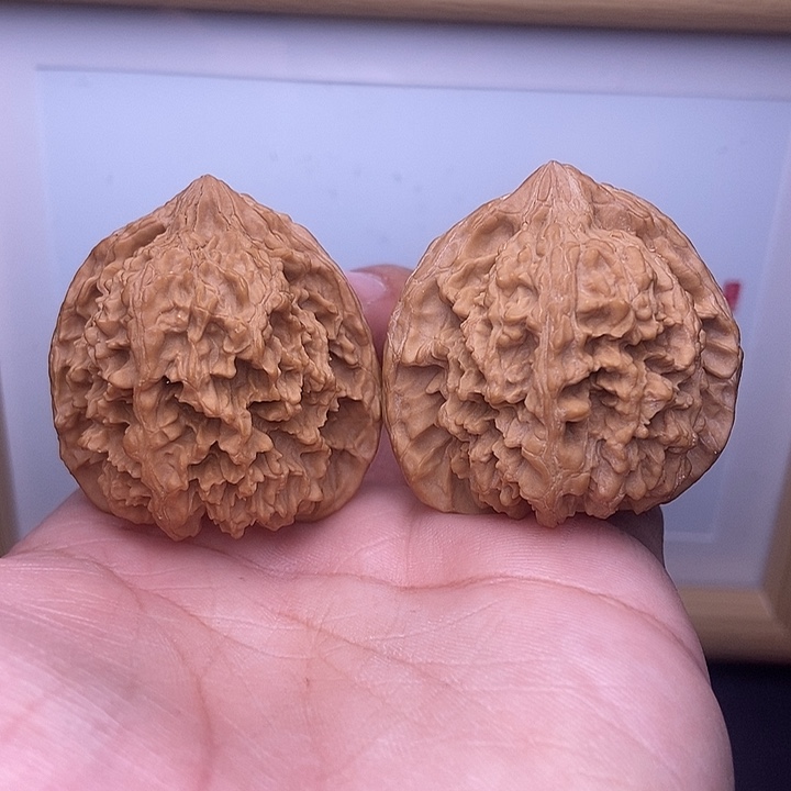 核桃全品满天星星