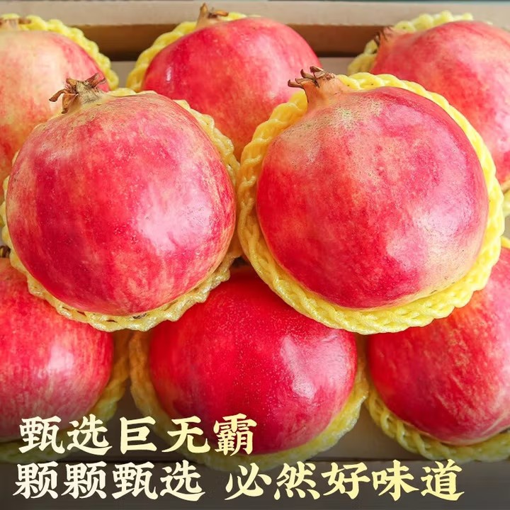 【彩箱】四川会理突尼斯软籽石榴新鲜当季现摘爆甜多汁不吐籽zbb