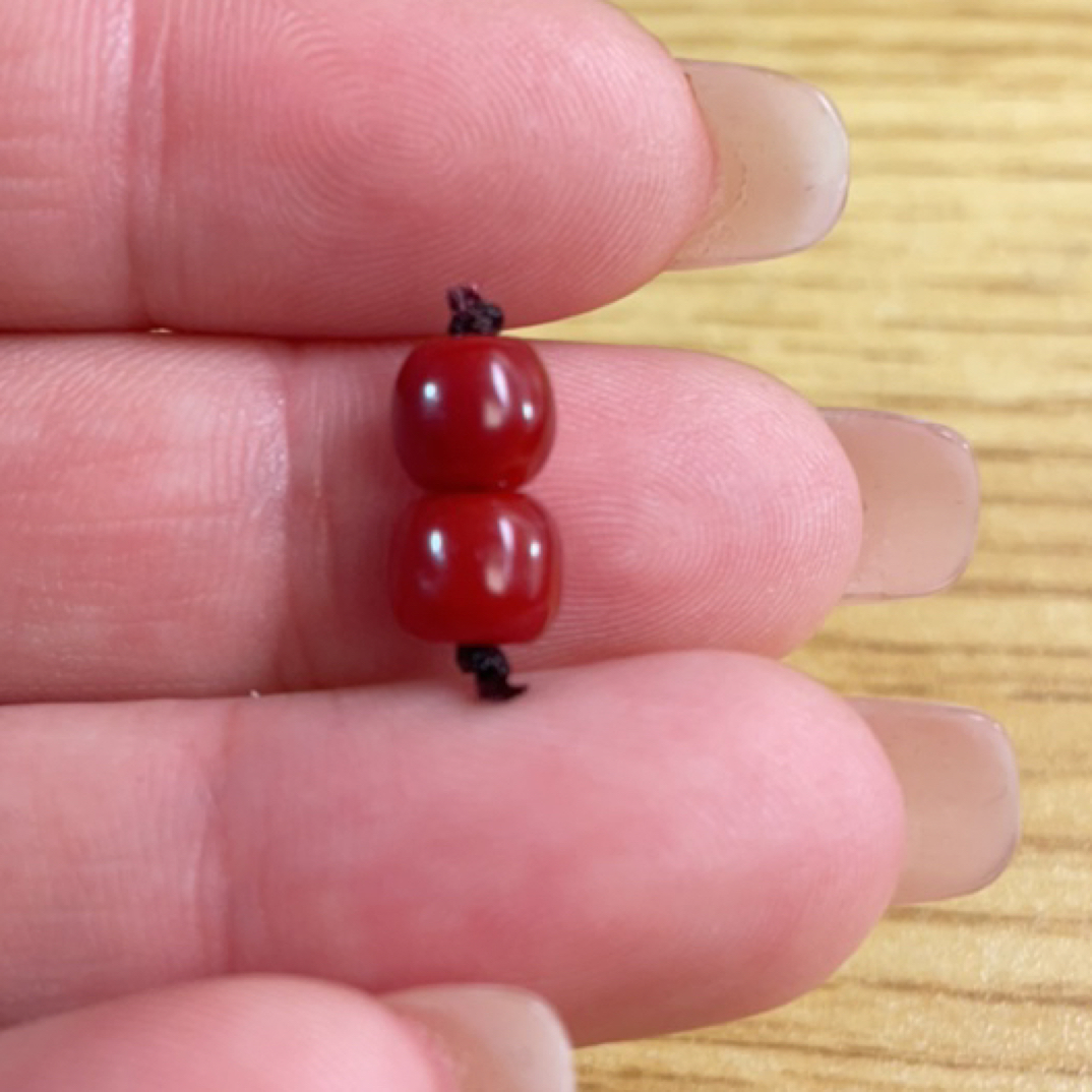 天然红珊瑚阿卡老型一对（500