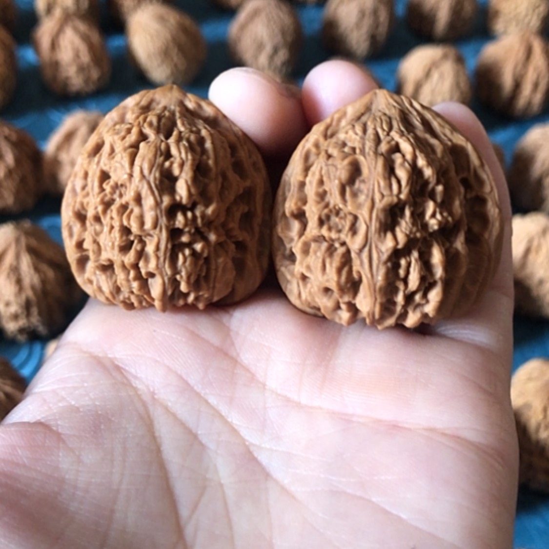 【闪购商品】文玩核桃把件一代将