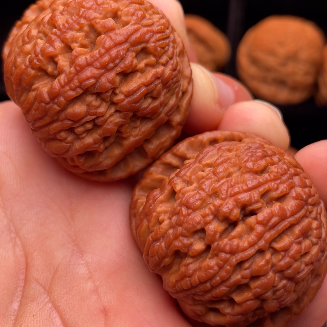 文玩核桃把件秦岭野生核桃