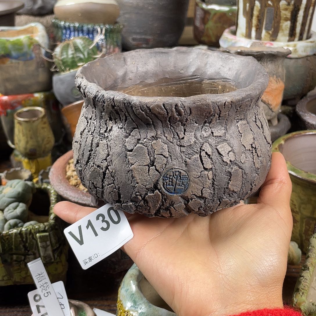 默认微次   限时福利 坛子姐花盆