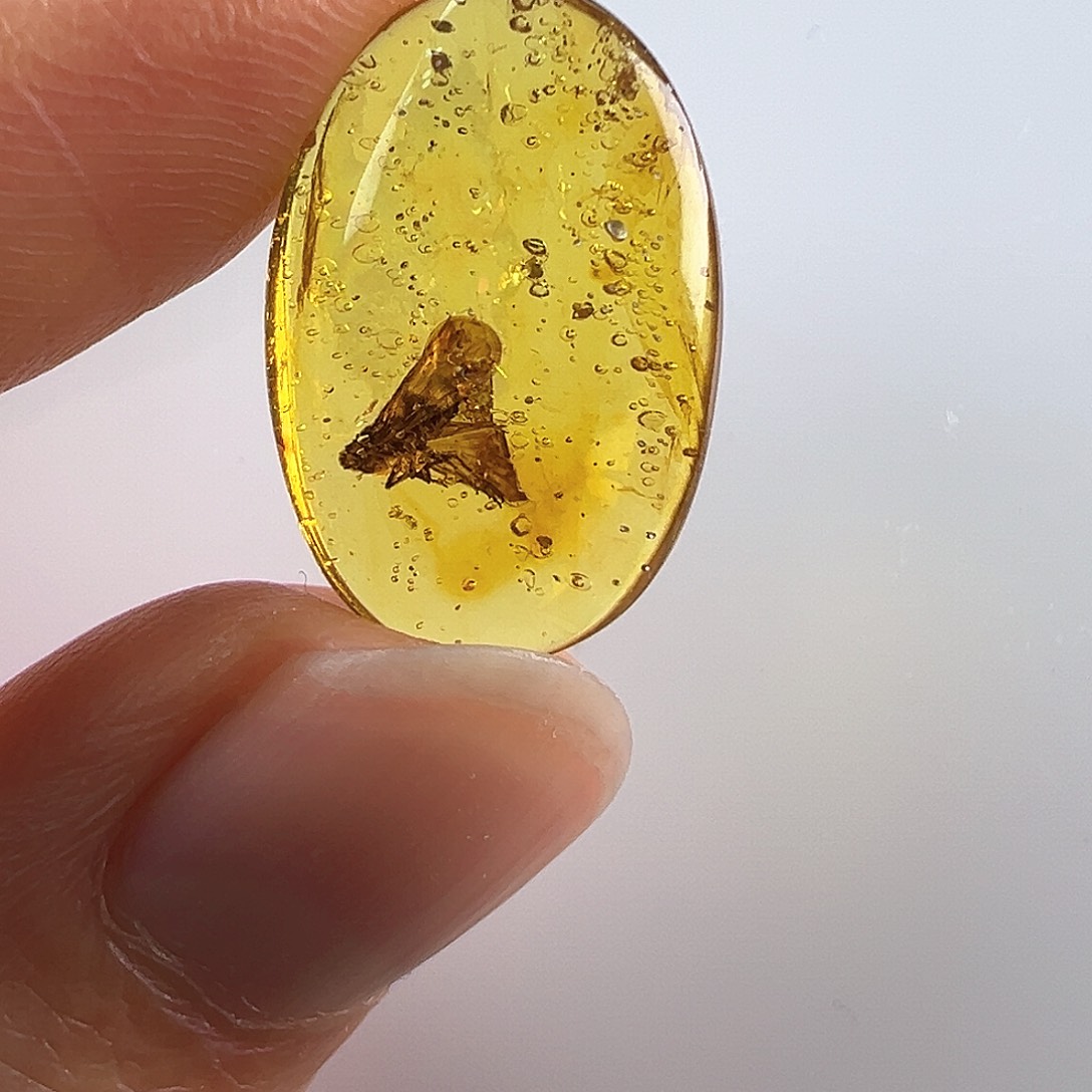 琥珀裸石未镶嵌琥珀虫珀