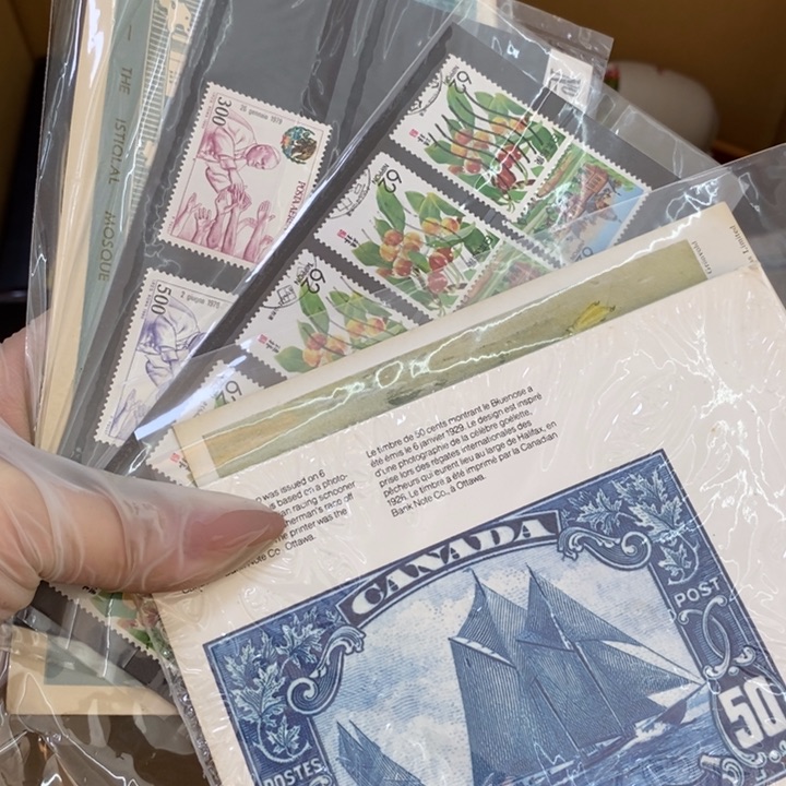 瓷片哦哦哦哦哦哦哦哦哦