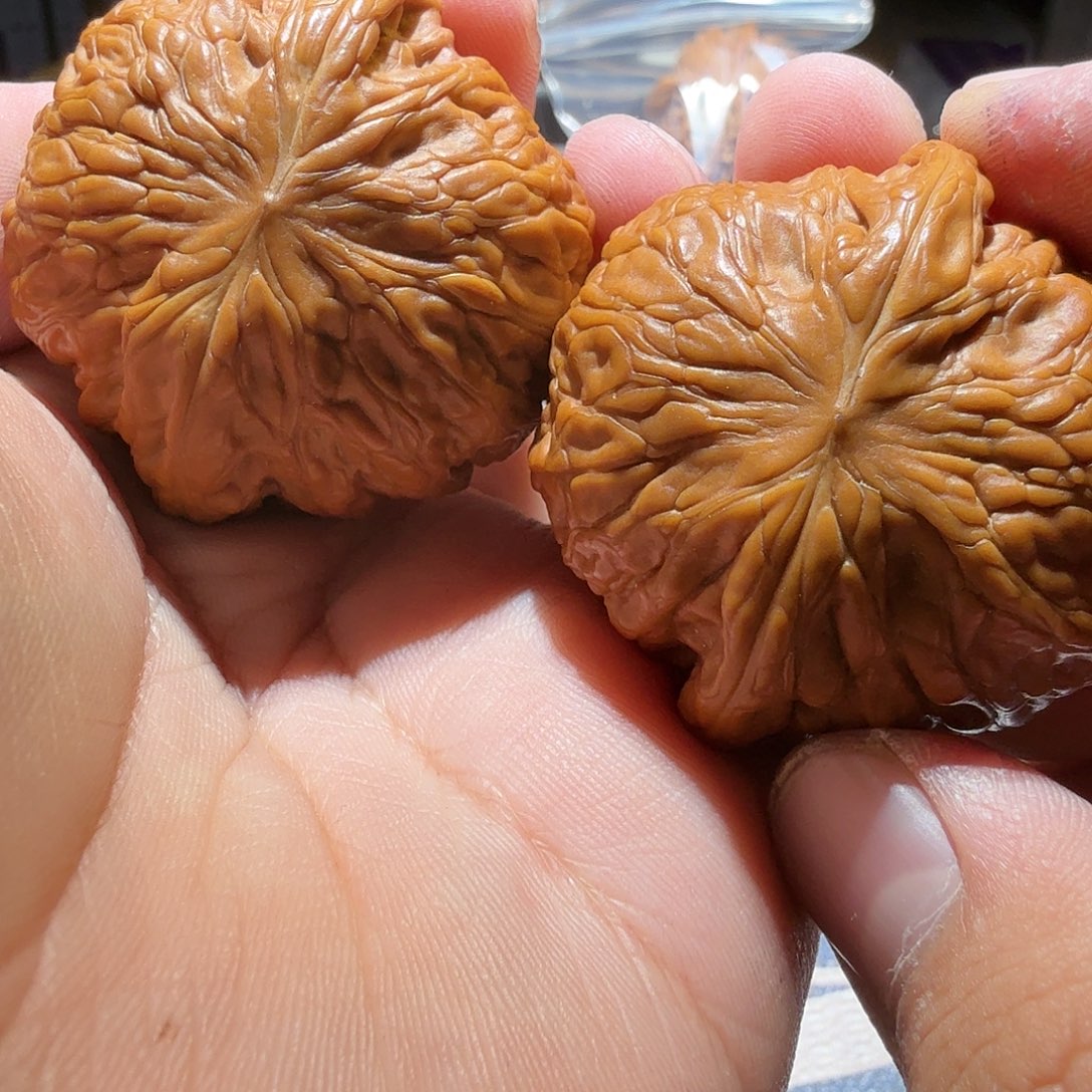 文玩核桃把件—**胡铁锤·天花板