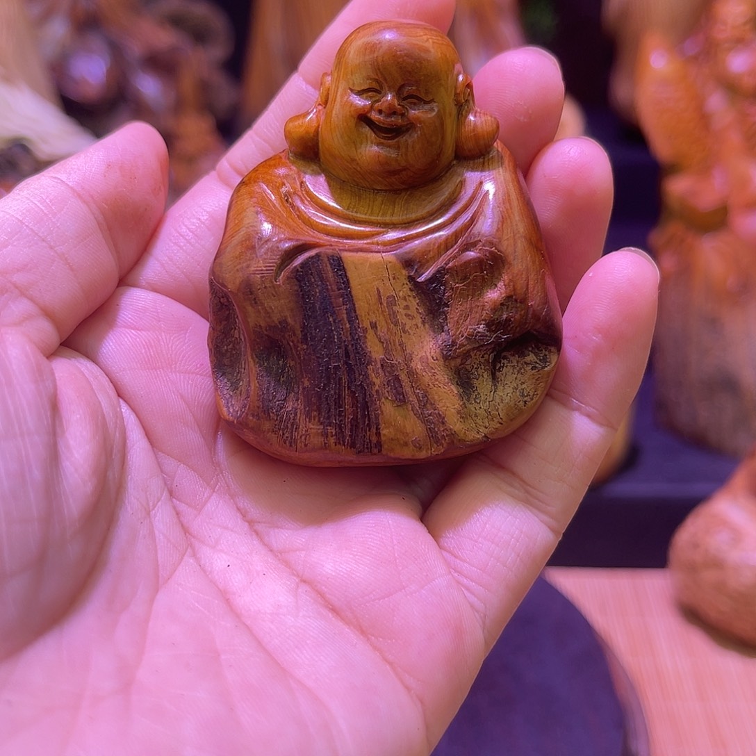 柏木888888888888888888