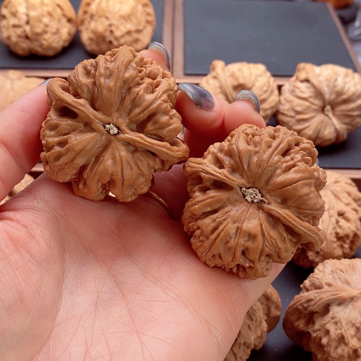 【闪购商品】把件文玩核桃彩****?粗筋45，修