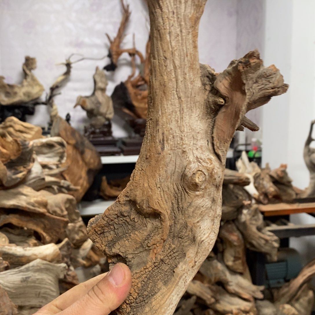 柏木B****B我们都是好孩子