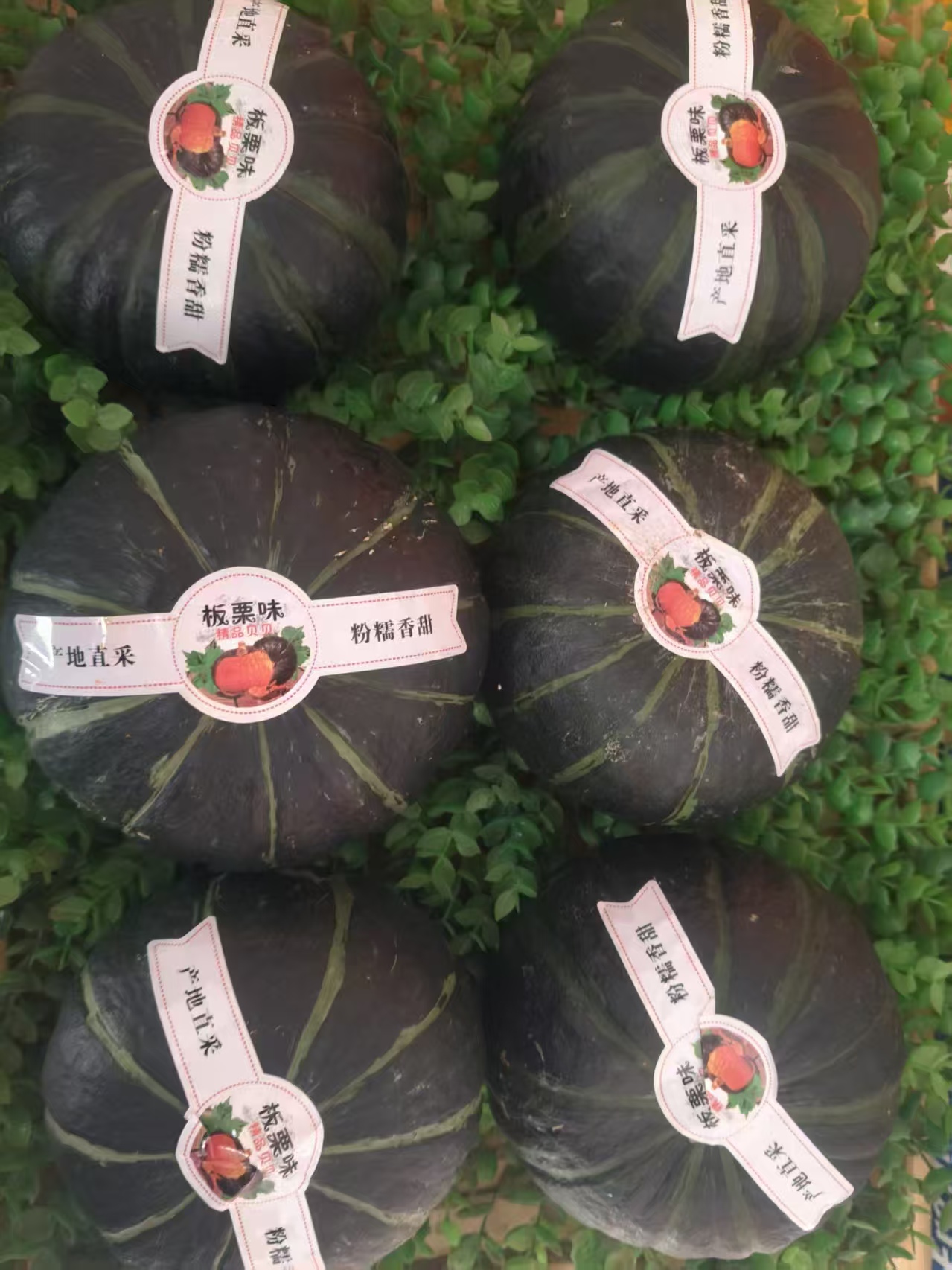 正宗贝贝南瓜粉糯香甜现摘现发板栗味宝宝辅食150克起发8个