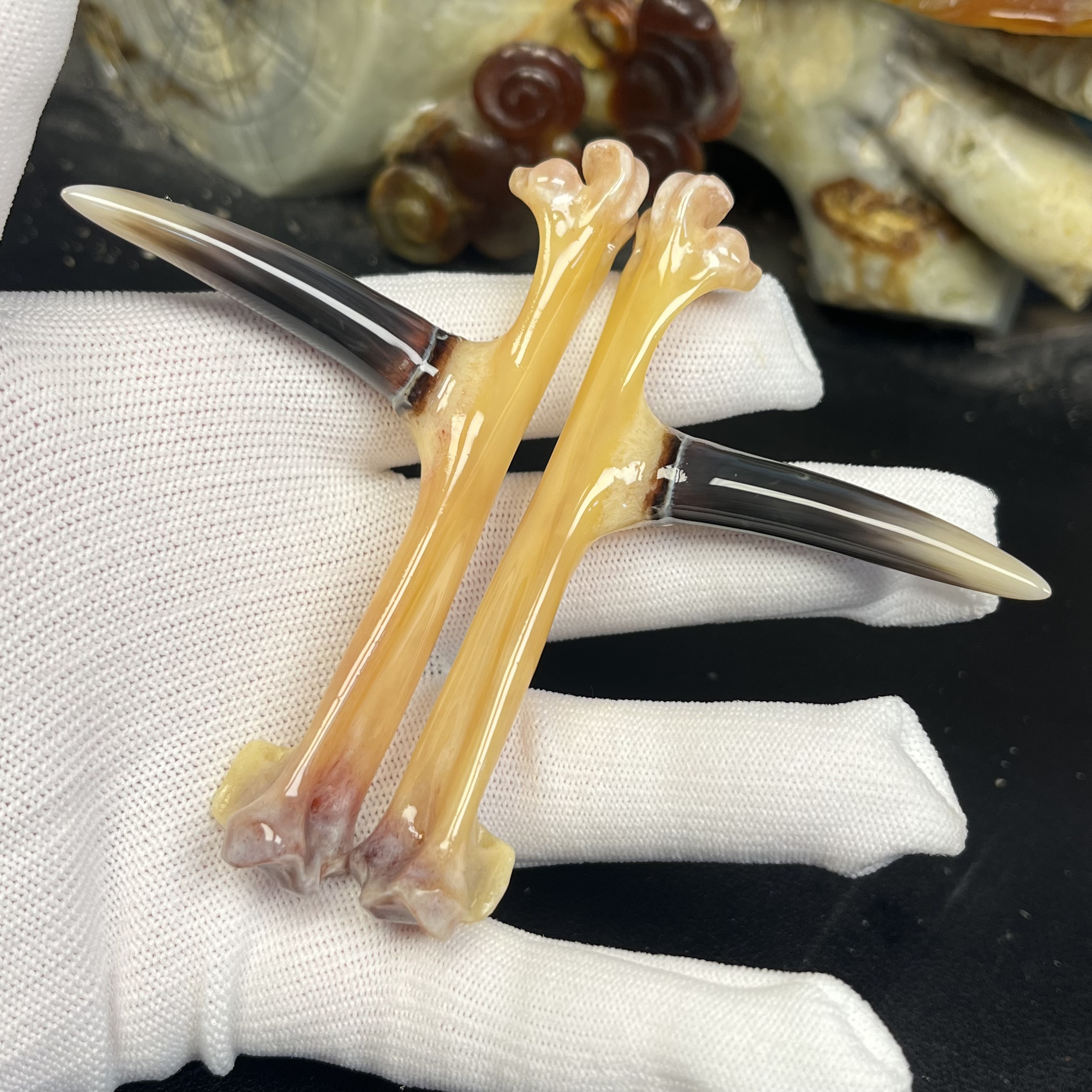 沉醉骨艺鸡爪骨水墨黄骨一对