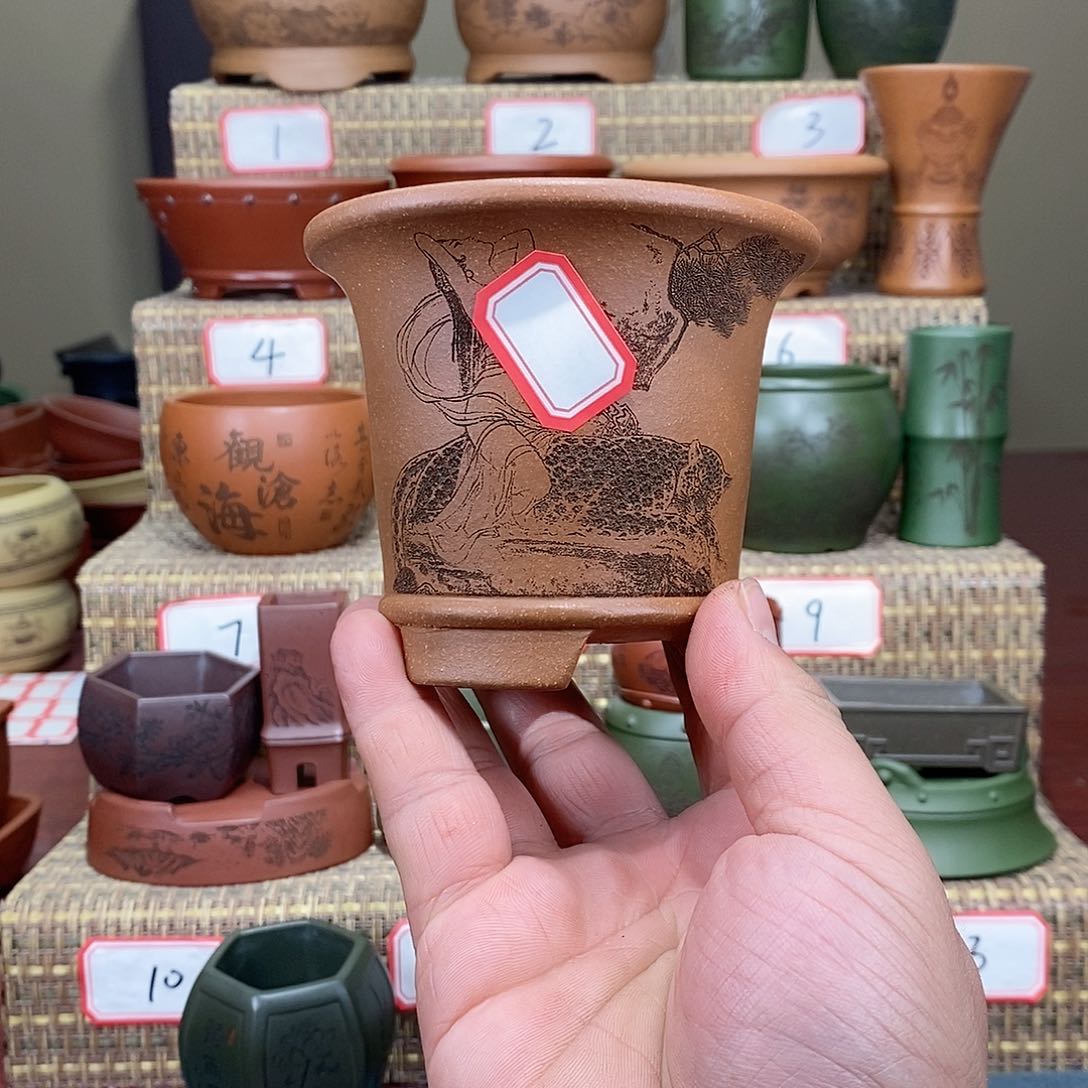 紫砂花盆我在等一