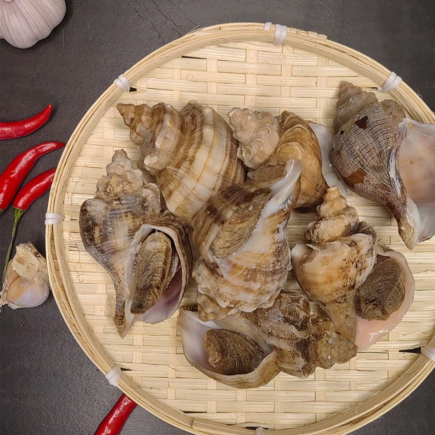 深水海螺 （3斤 5斤/份 任选）鲜甜肥美营养干净