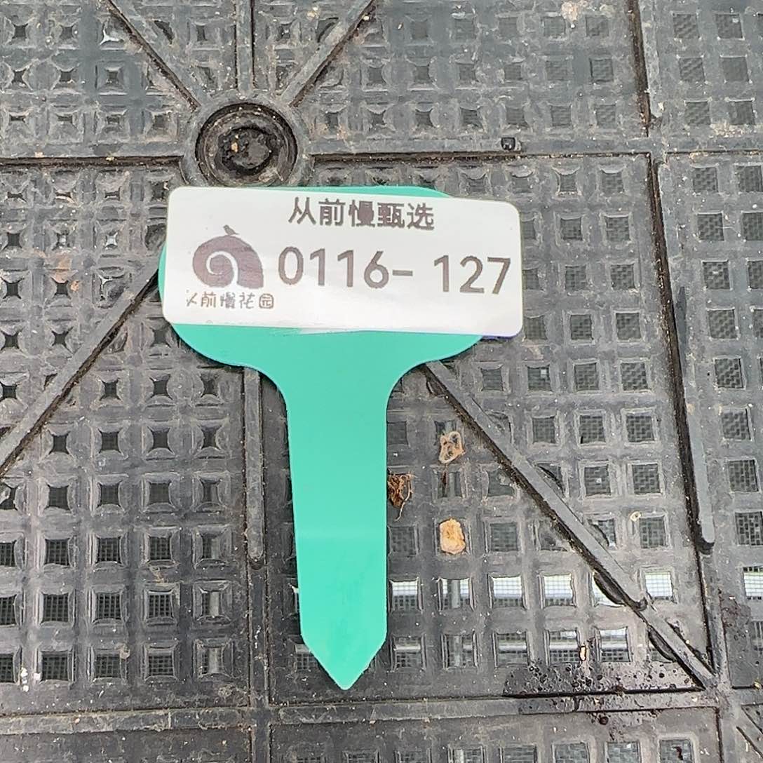 从前慢花园精选0116-127