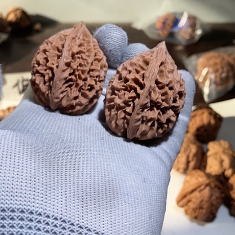 把件文玩核桃金钱鼠