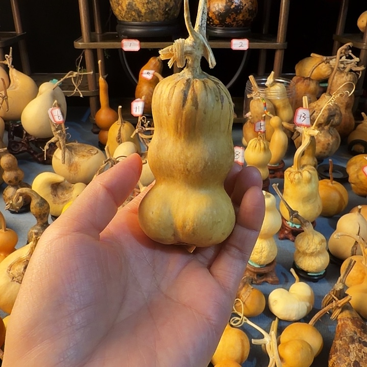 悟***6厚皮葫根各适量做法