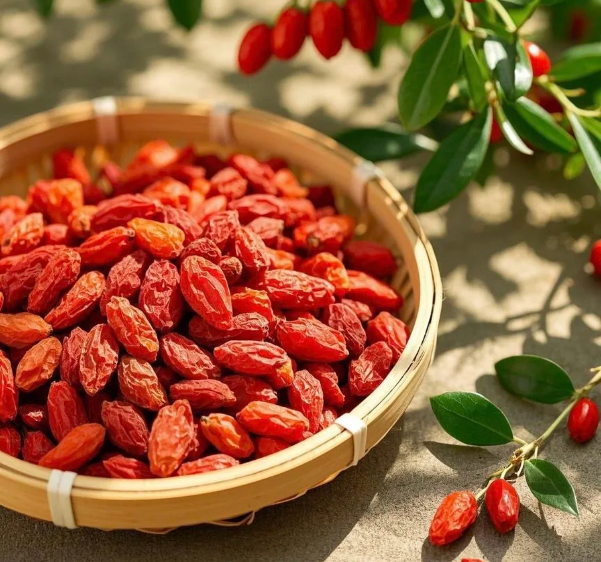 邱正新农人-枸杞