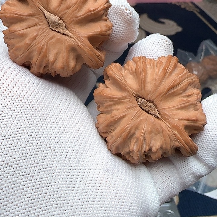 文玩核桃吊坠全品白狮子44➕克重46.4