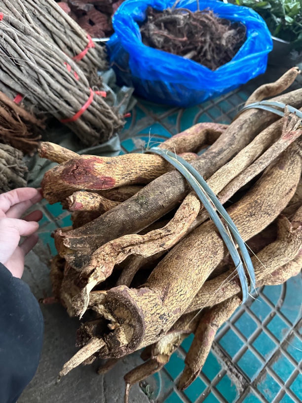 飞龙掌血 散血飞 三百棒 根部500克一份整根发货 